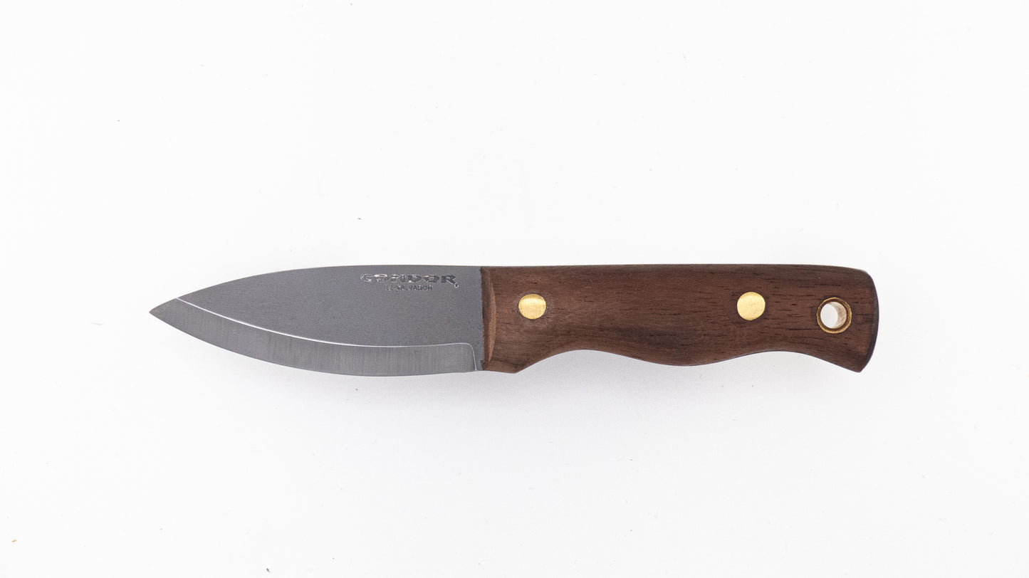 Condor Mini Bushlore