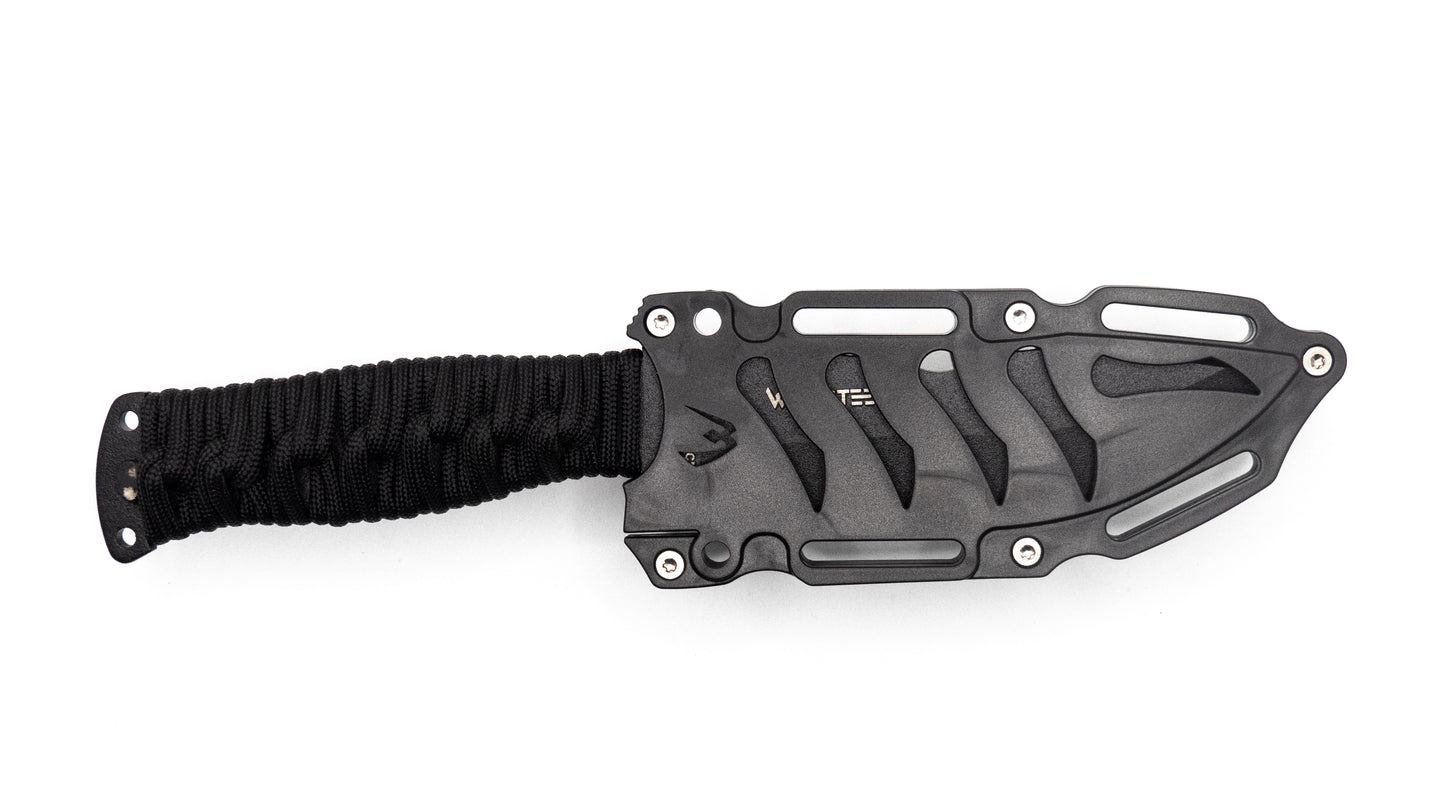 Wildsteer Adventurer